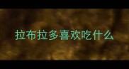 拉布拉多喜欢吃什么