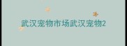 武汉宠物市场武汉宠物