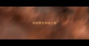 捡到黑色母哈士奇