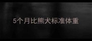 5个月比熊犬标准体重
