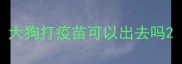 大狗打疫苗可以出去吗