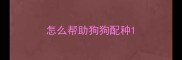 怎么帮助狗狗配种