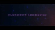 驱虫后能否接种宠物疫苗权威解答及科学操作指南