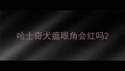 哈士奇犬瘟眼角会红吗