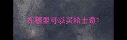 在哪里可以买哈士奇