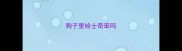 狗子里哈士奇笨吗