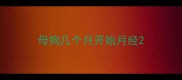 母狗几个月开始月经
