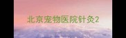 北京宠物医院针灸