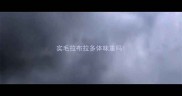 实毛拉布拉多体味重吗