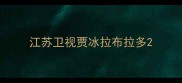 江苏卫视贾冰拉布拉多