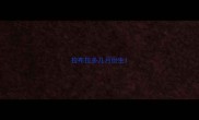 拉布拉多几月份生