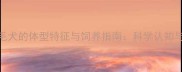 大骨架金毛犬的体型特征与饲养指南科学认知与科学养护