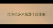 拉布拉多犬是那个国家的