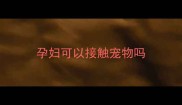 孕妇可以接触宠物吗