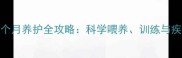 德国牧羊犬2个月养护全攻略科学喂养训练与疾病预防指南