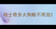 哈士奇多大狗粮不用泡