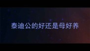 泰迪公的好还是母好养