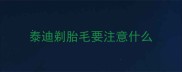 泰迪剃胎毛要注意什么