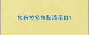 拉布拉多拉黏液带血