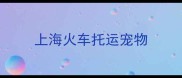 上海火车托运宠物