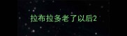 拉布拉多老了以后