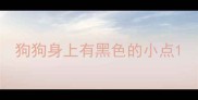狗狗身上有黑色的小点