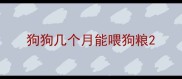 狗狗几个月能喂狗粮