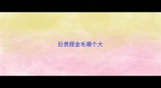巨贵跟金毛哪个大