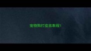 宠物狗打疫苗教程