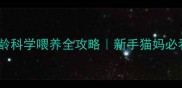 幼猫1-12月龄科学喂养全攻略新手猫妈必看喂养指南