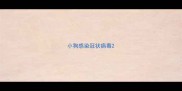 小狗感染冠状病毒