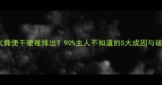边牧幼犬粪便干硬难排出90主人不知道的5大成因与破解方案