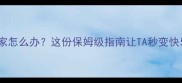 猫咪独自在家怎么办这份保姆级指南让TA秒变快乐宅家喵
