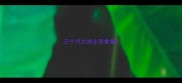 三个月大哈士奇食量