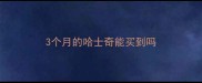 3个月的哈士奇能买到吗