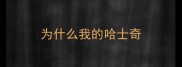 为什么我的哈士奇