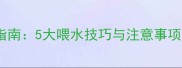 哈士奇幼犬科学饮水指南5大喂水技巧与注意事项附成长关键期表