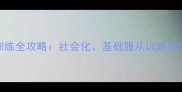 7个月大狗狗训练全攻略社会化基础服从训练与常见问题解答