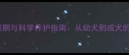 格力犬生长周期与科学养护指南从幼犬到成犬的身高发育全