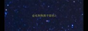 金毛狗狗鼻子颜色