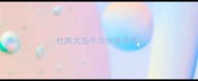 杜宾犬五个月体重身高