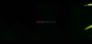 暹罗猫怀孕几个月