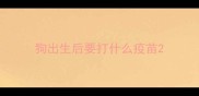 狗出生后要打什么疫苗