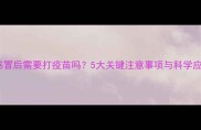 金毛犬感冒后需要打疫苗吗5大关键注意事项与科学应对指南