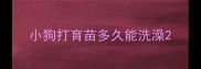 小狗打育苗多久能洗澡