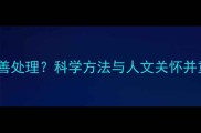 宠物身后事如何妥善处理科学方法与人文关怀并重的解决方案指南
