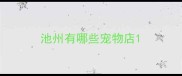 池州有哪些宠物店