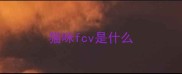 猫咪fcv是什么
