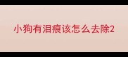 小狗有泪痕该怎么去除