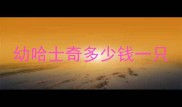 幼哈士奇多少钱一只